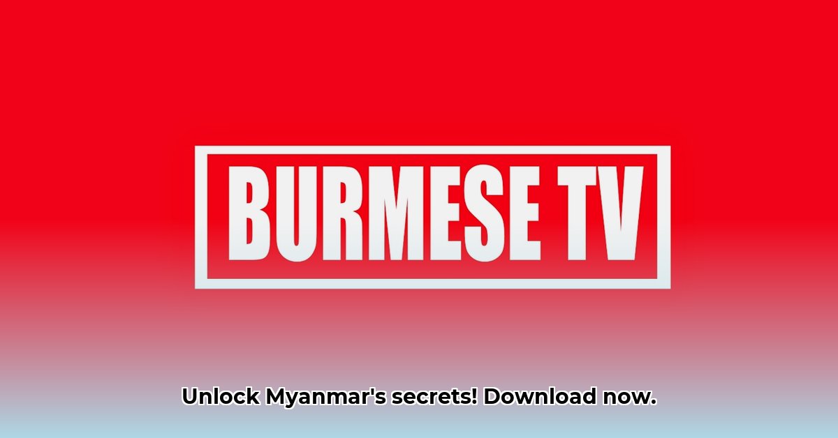 burmese-live-pro